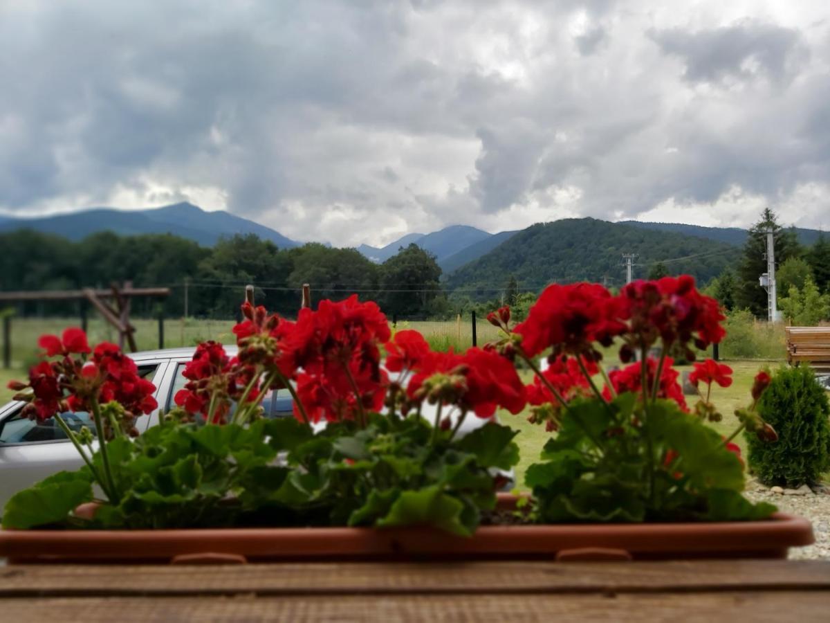 Pensiunea Maya Sîmbăta de Sus Exteriér fotografie