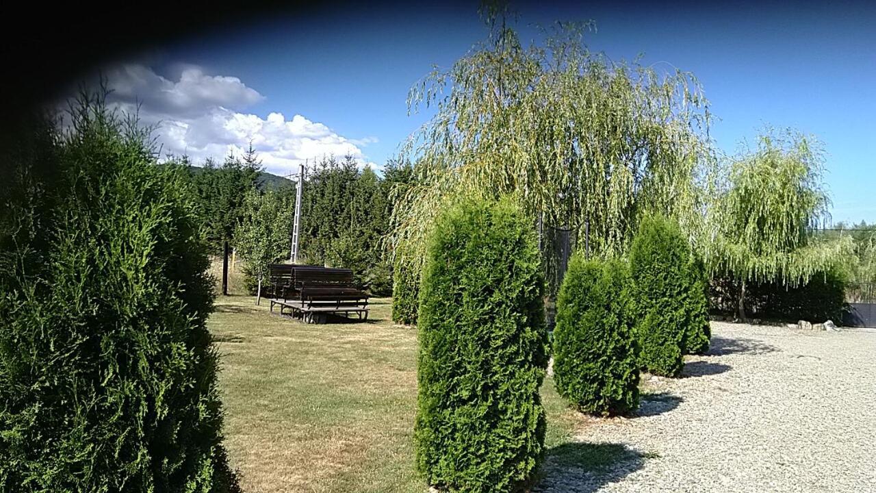 Pensiunea Maya Sîmbăta de Sus Exteriér fotografie
