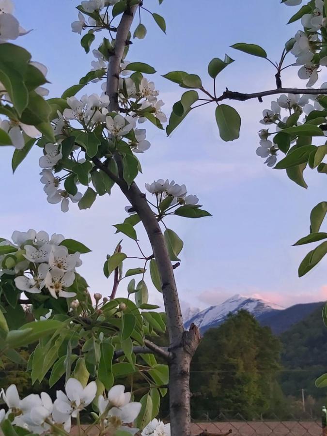Pensiunea Maya Sîmbăta de Sus Exteriér fotografie