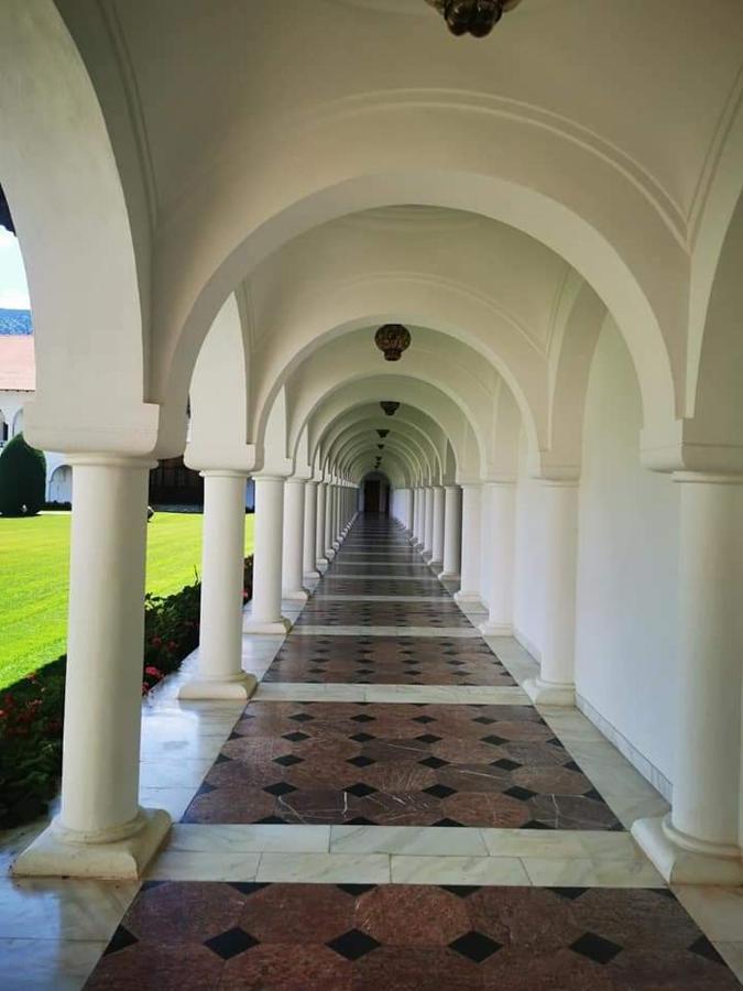 Pensiunea Maya Sîmbăta de Sus Exteriér fotografie
