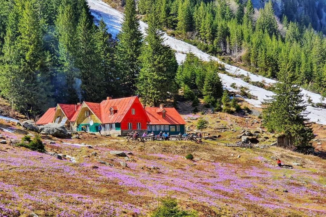 Pensiunea Maya Sîmbăta de Sus Exteriér fotografie