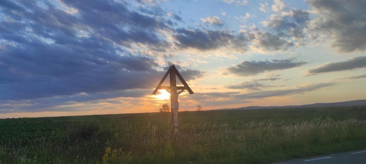 Pensiunea Maya Sîmbăta de Sus Exteriér fotografie
