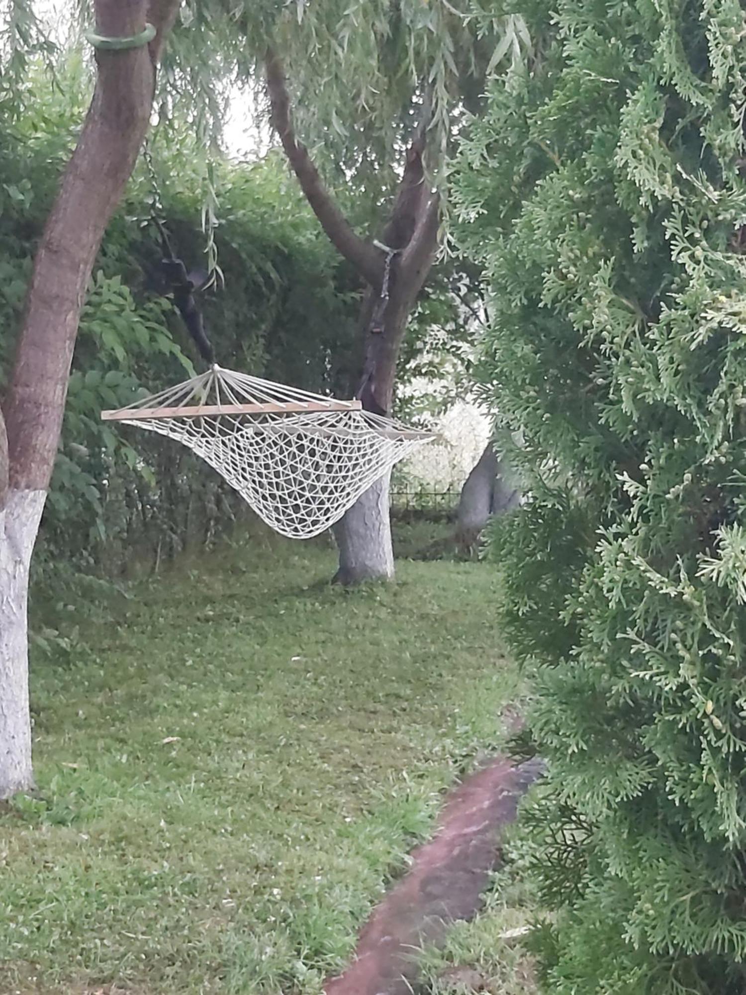 Pensiunea Maya Sîmbăta de Sus Exteriér fotografie
