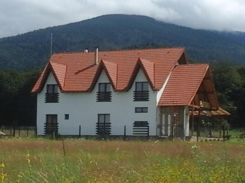 Pensiunea Maya Sîmbăta de Sus Exteriér fotografie